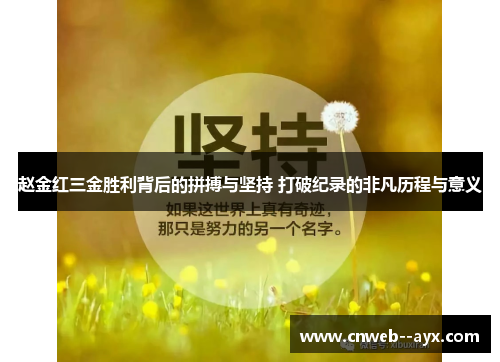 赵金红三金胜利背后的拼搏与坚持 打破纪录的非凡历程与意义